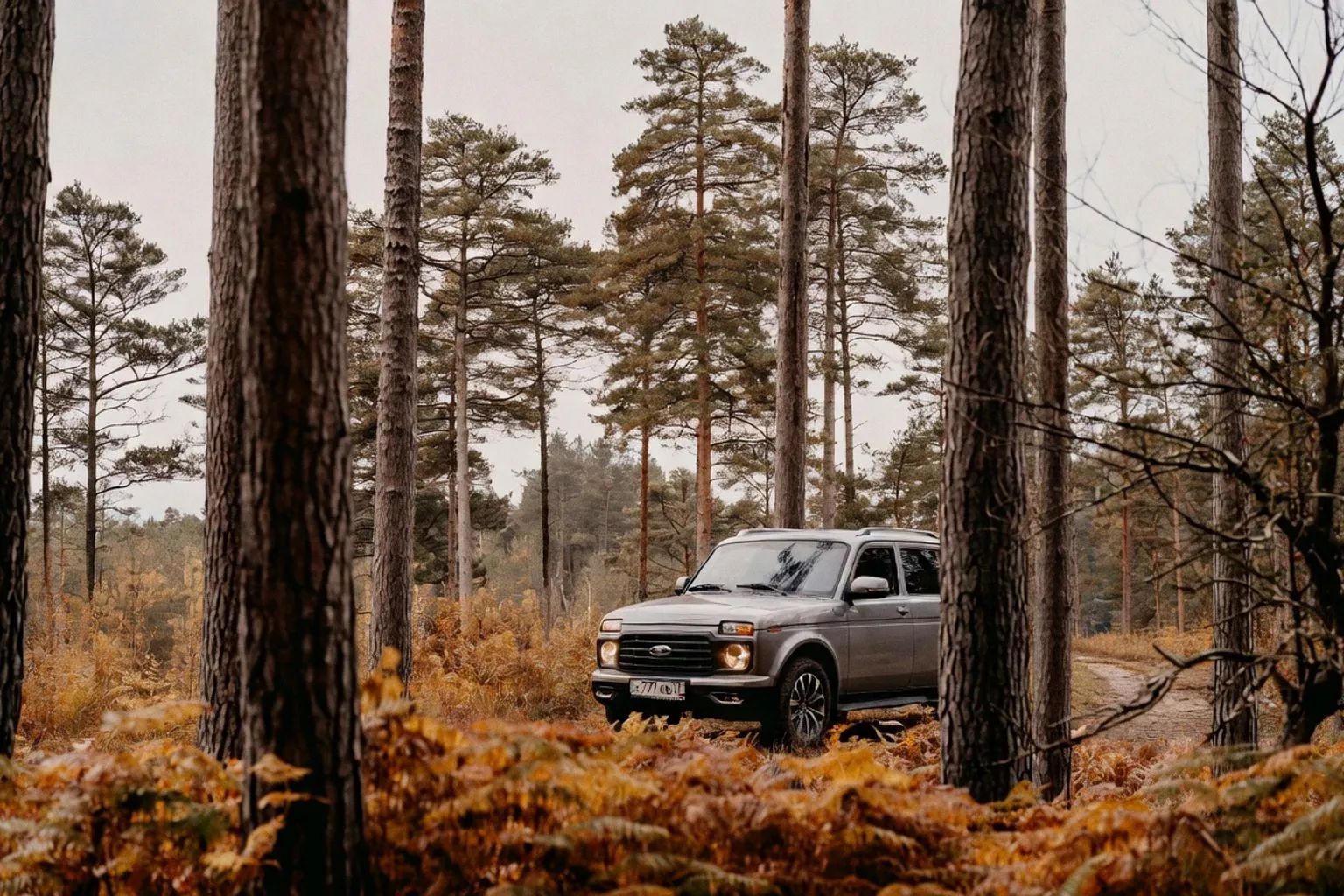 Топ-10 европейских автомаршрутов для наблюдения за дикой природой